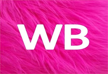 {{photo.Alt || photo.Description || 'ЗАСКОЧИТЬ В WB'}}